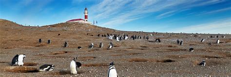 citas punta arenas|Reserva de Hora